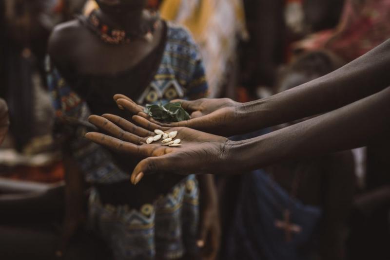 Humanitárna intervencia Nadácie Integra