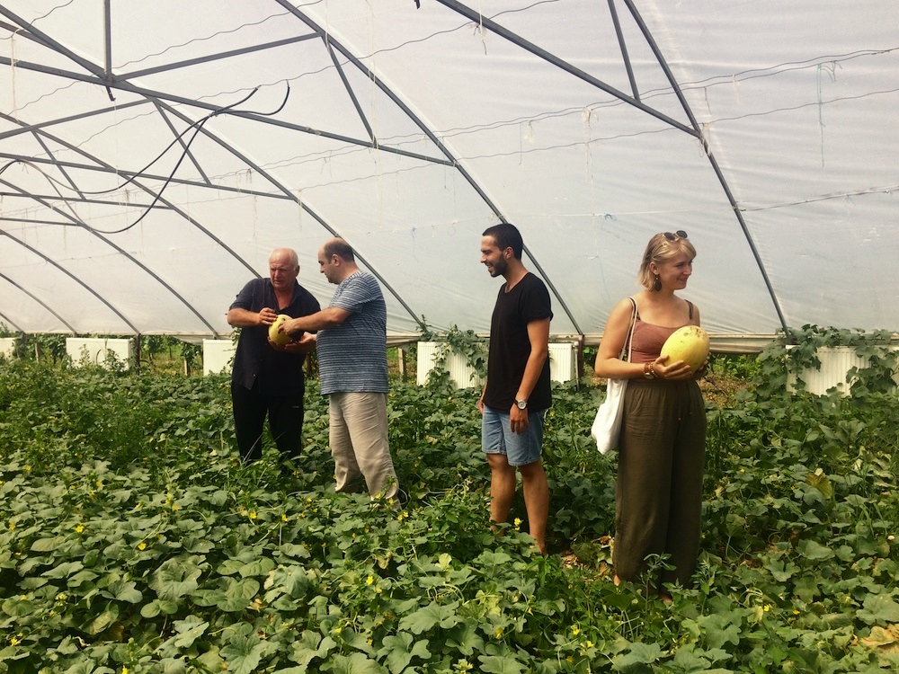 Agricultural project of People in Need NGO in Terjola region in Georgia